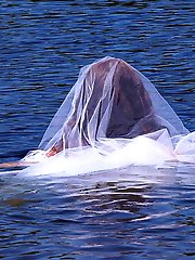 Beautiful women of a certain age show off their skills.